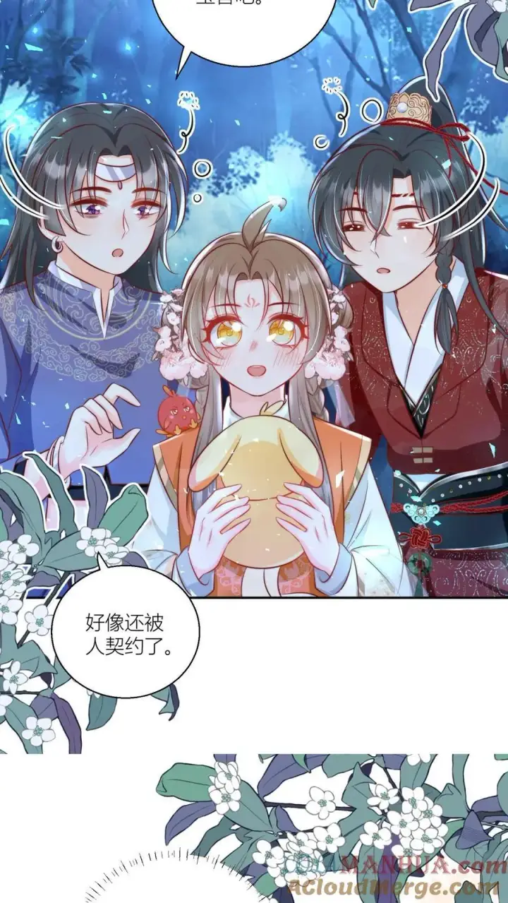漫画《小师妹明明超强却过分沙雕》第75话 我才不要云鹊的二手货第19张图