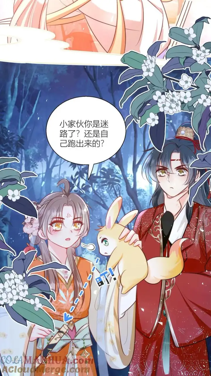 漫画《小师妹明明超强却过分沙雕》第75话 我才不要云鹊的二手货第21张图