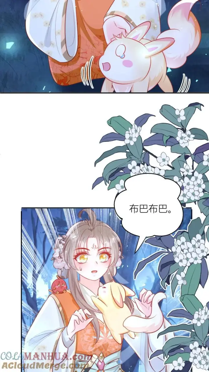 漫画《小师妹明明超强却过分沙雕》第75话 我才不要云鹊的二手货第25张图