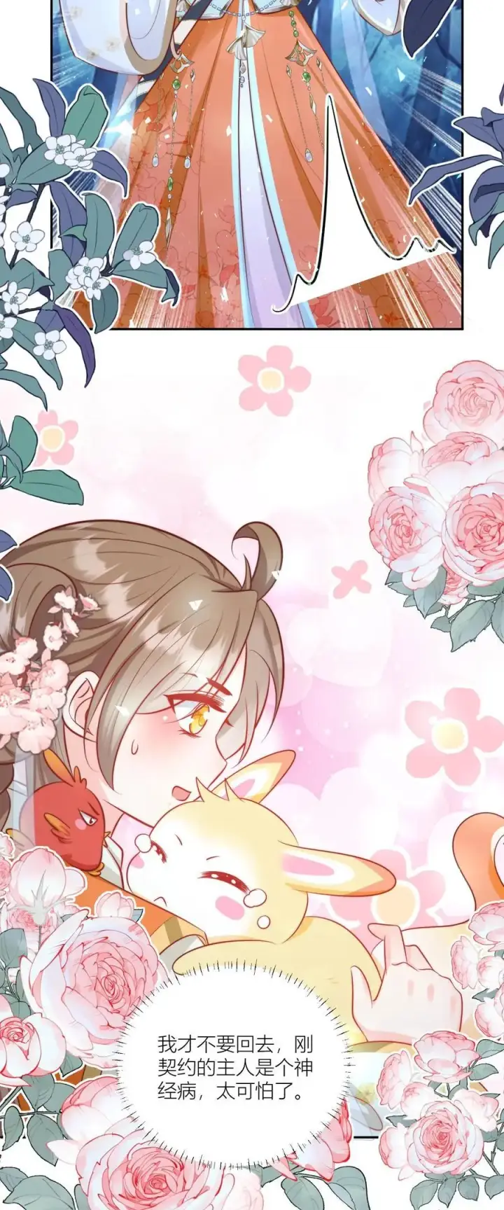 漫画《小师妹明明超强却过分沙雕》第75话 我才不要云鹊的二手货第26张图