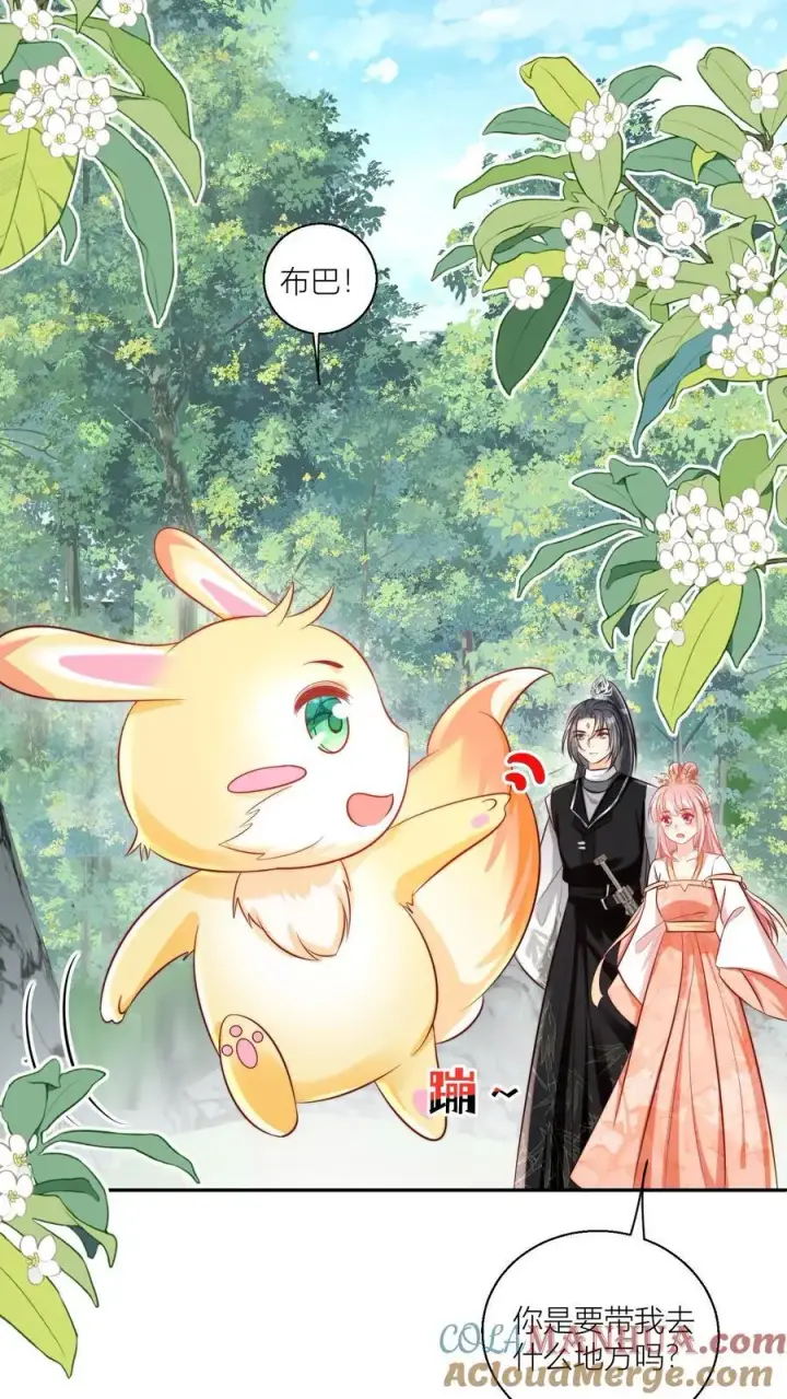 漫画《小师妹明明超强却过分沙雕》第75话 我才不要云鹊的二手货第3张图