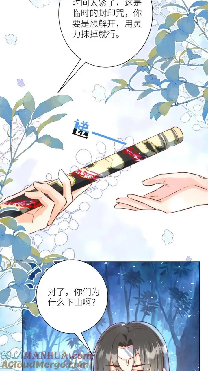 漫画《小师妹明明超强却过分沙雕》第79话 大师兄可能会当场裂开第9张图
