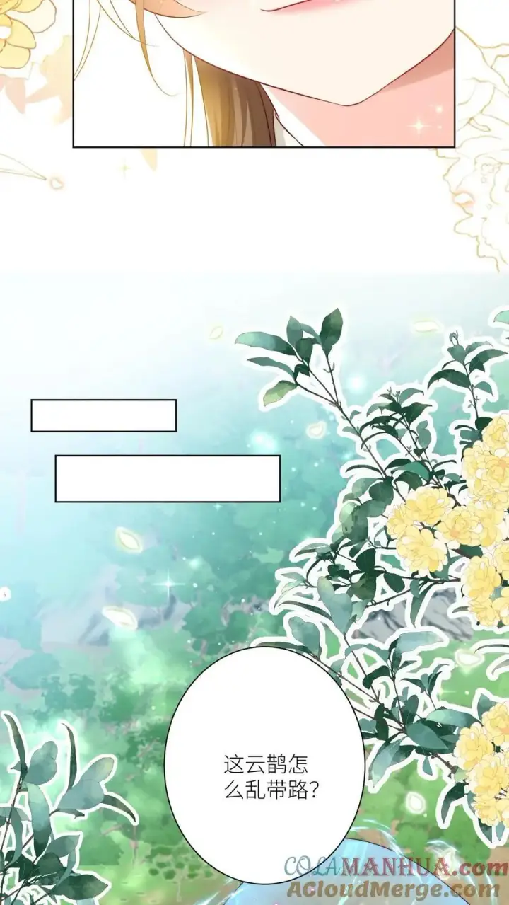 漫画《小师妹明明超强却过分沙雕》第80话 阴魂不散三人组第21张图