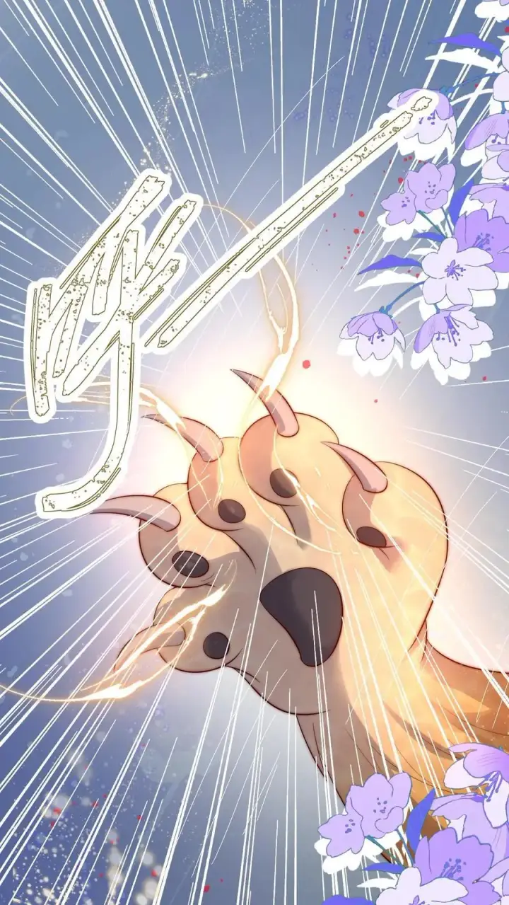 漫画《小师妹明明超强却过分沙雕》第84话 不准在我头上絮窝！第2张图