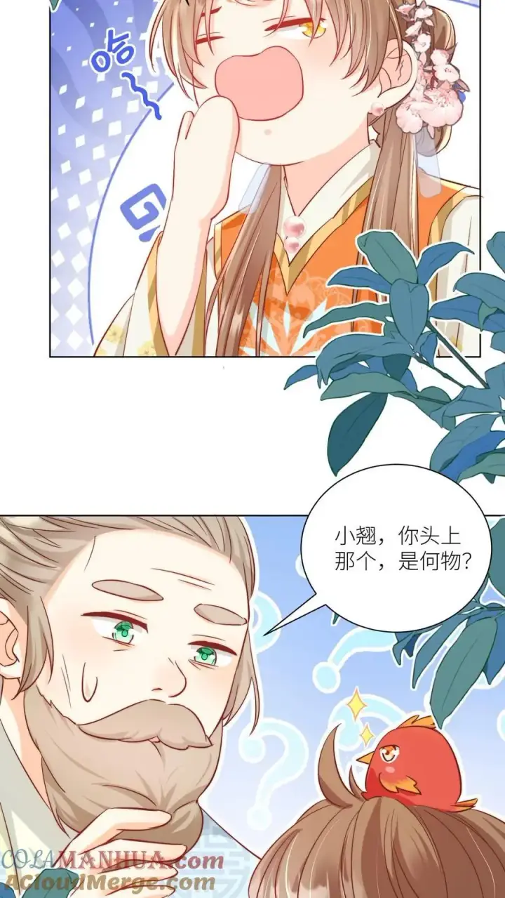 漫画《小师妹明明超强却过分沙雕》第87话 我不行了让我摆烂吧！第13张图