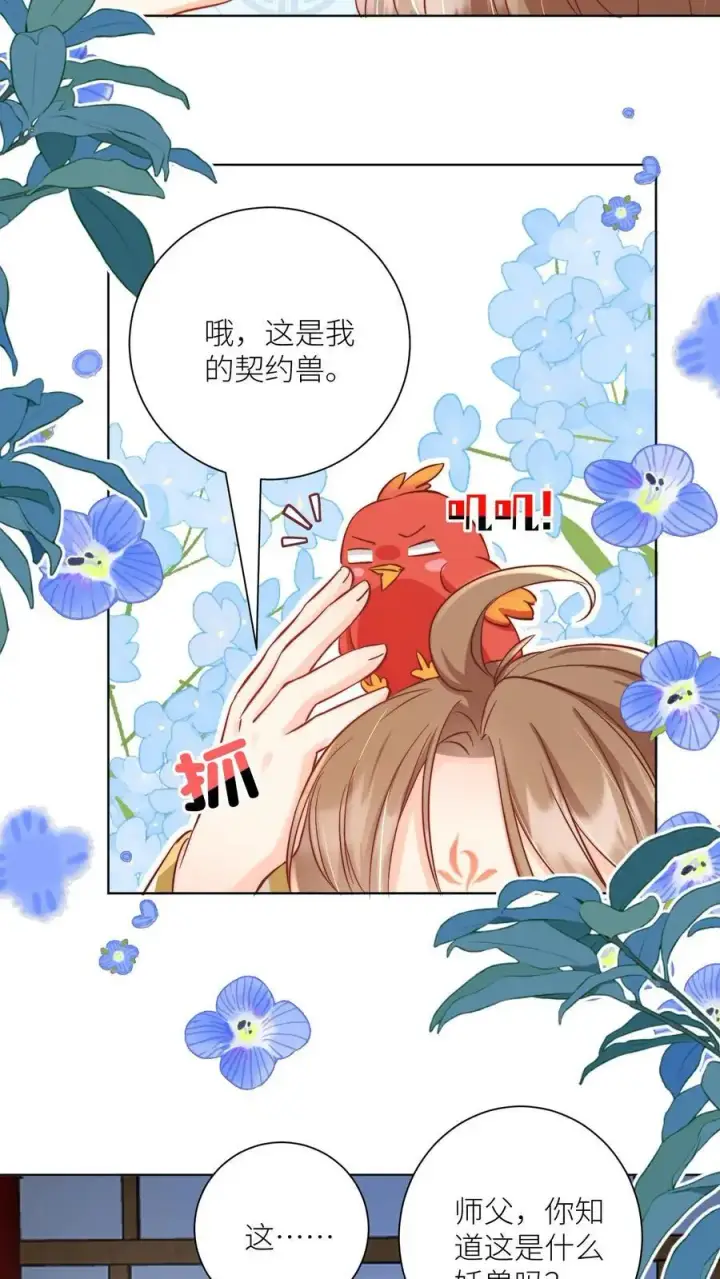 漫画《小师妹明明超强却过分沙雕》第87话 我不行了让我摆烂吧！第14张图