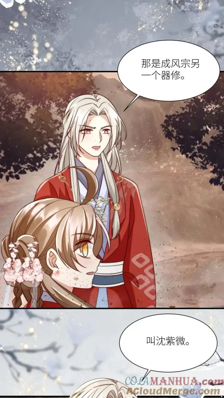 漫画《小师妹明明超强却过分沙雕》第118话 当两个符修凑在了一起第21张图
