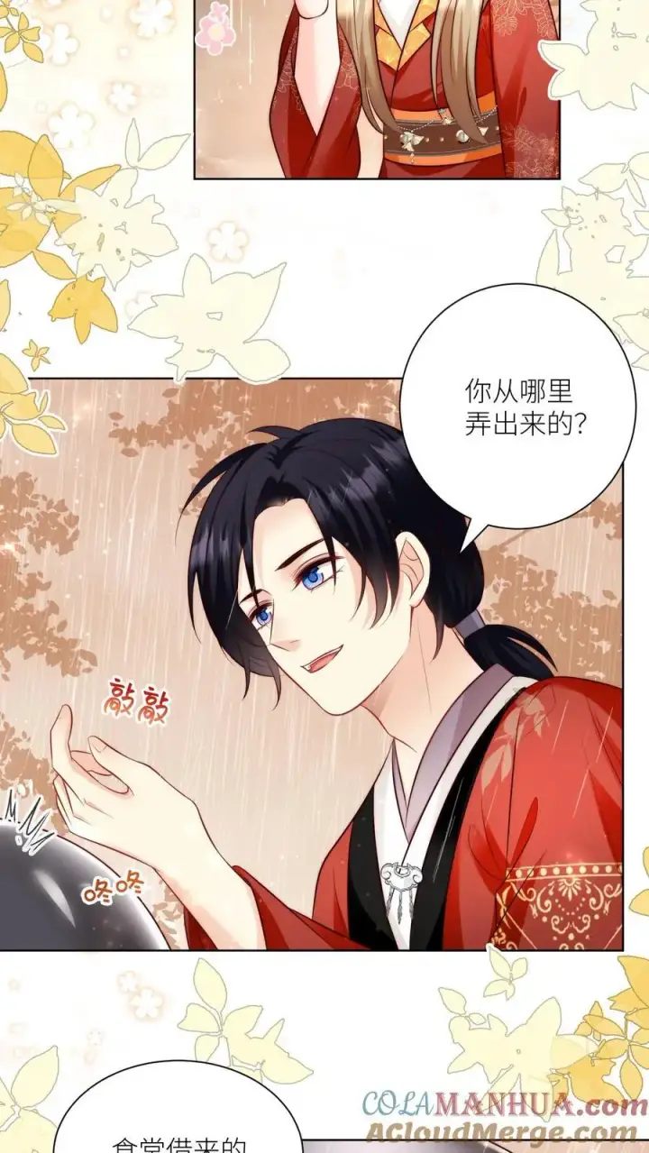 漫画《小师妹明明超强却过分沙雕》第129话 居家旅行必备大锅第11张图