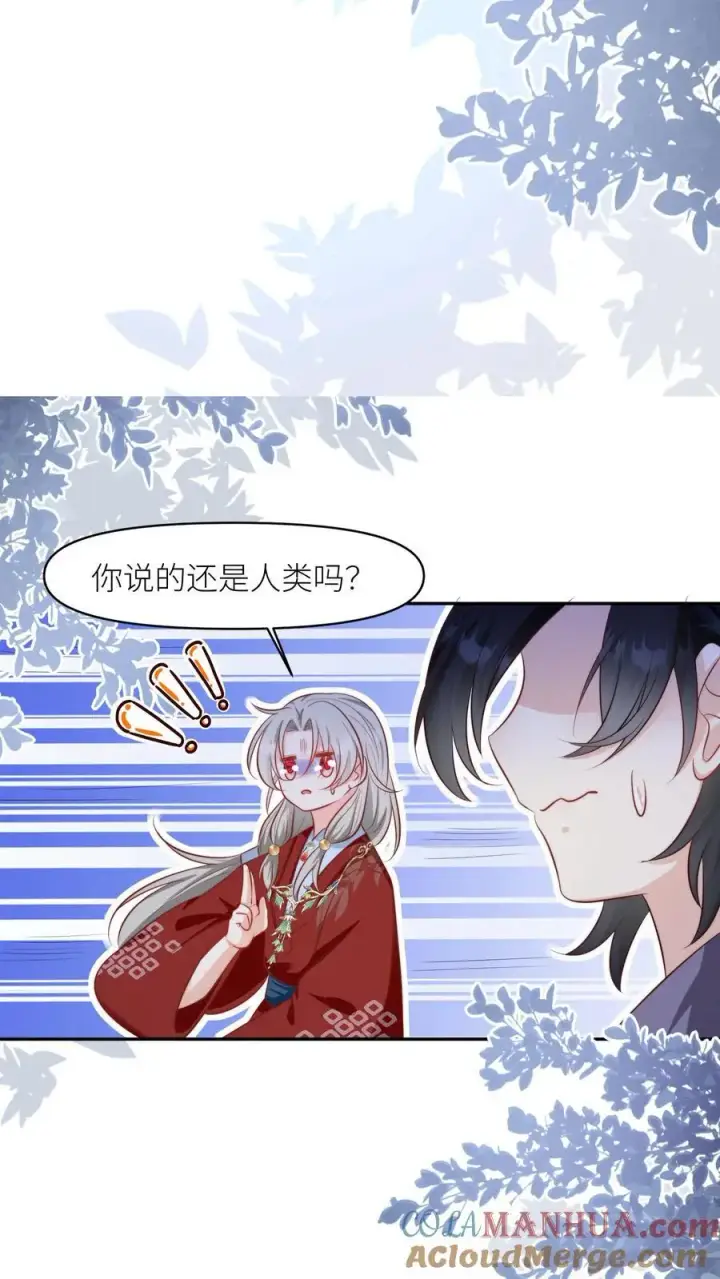 漫画《小师妹明明超强却过分沙雕》第156话 你竟然欺骗善良无辜的我们第25张图