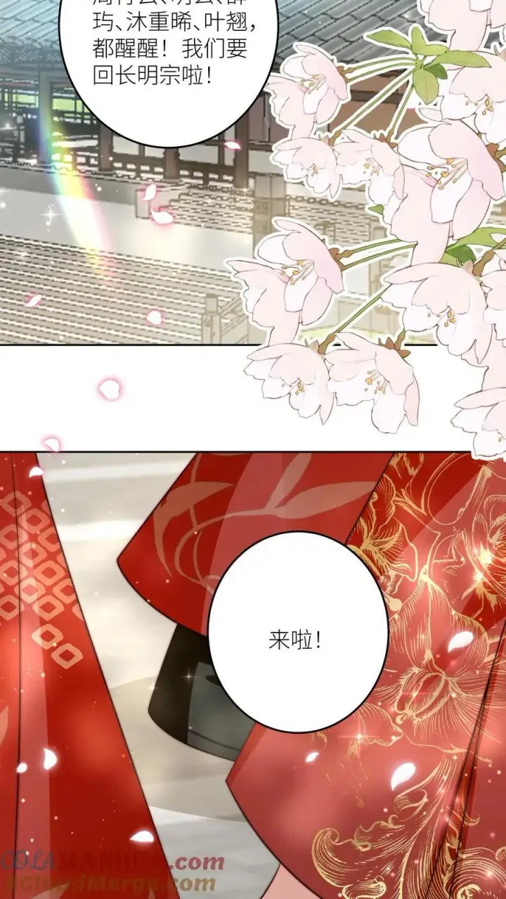 《小师妹明明超强却过分沙雕》第205话 快乐摆烂度过每一天~图35
