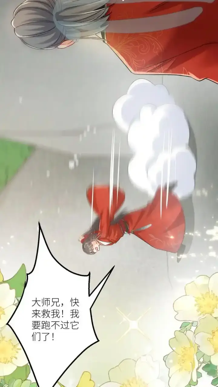 《小师妹明明超强却过分沙雕》第202话 不要再来追我了！图26