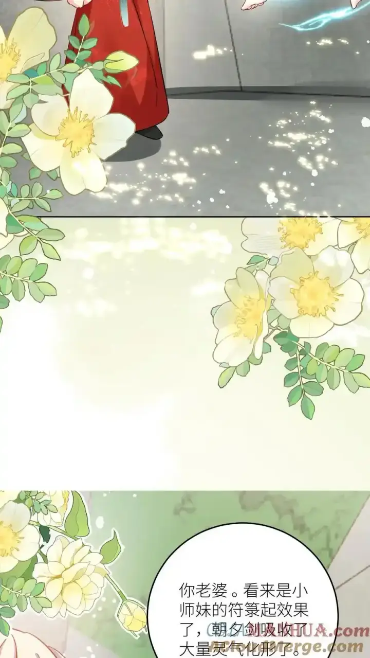 《小师妹明明超强却过分沙雕》第202话 不要再来追我了！图33