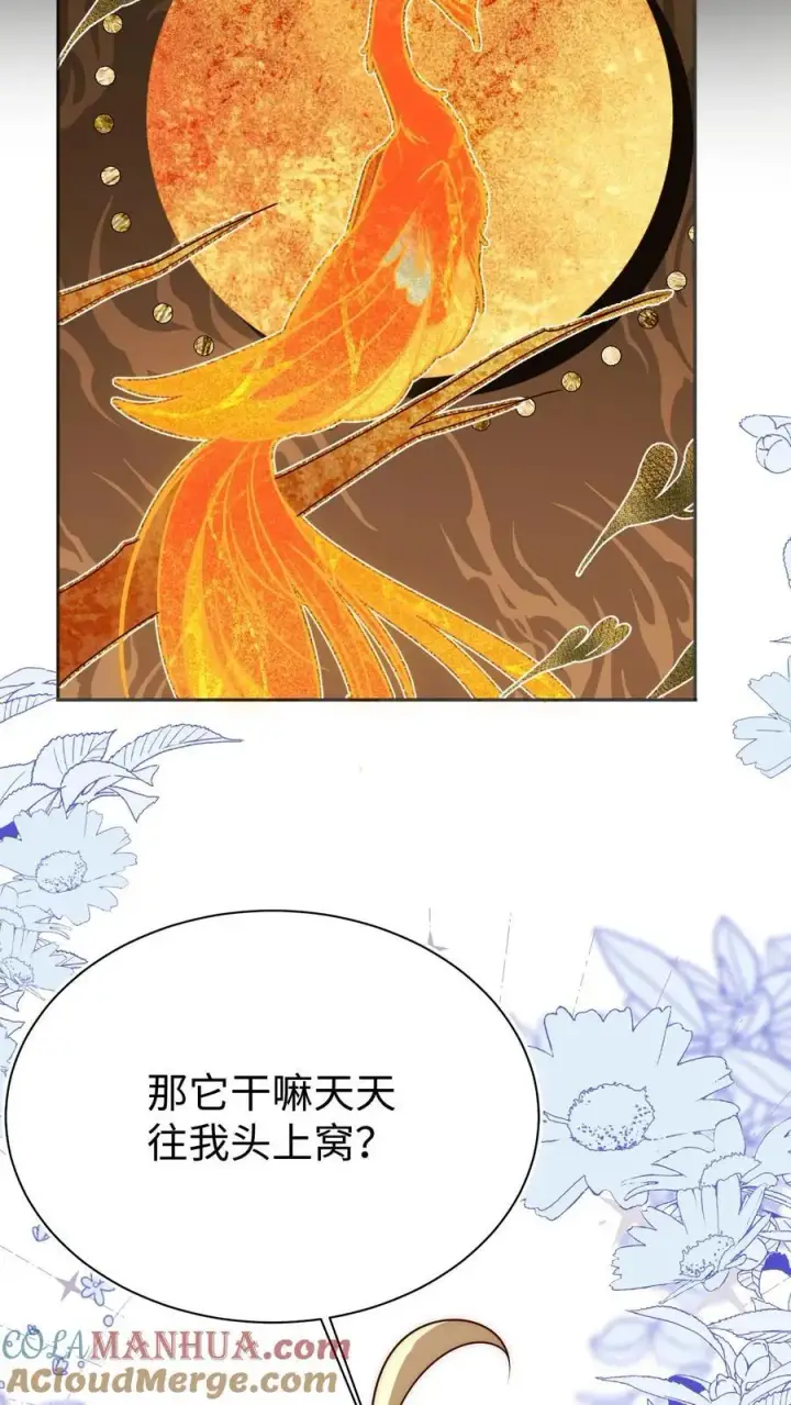 《小师妹明明超强却过分沙雕》第163话 一直长不大的神兽就是个废物啊图21