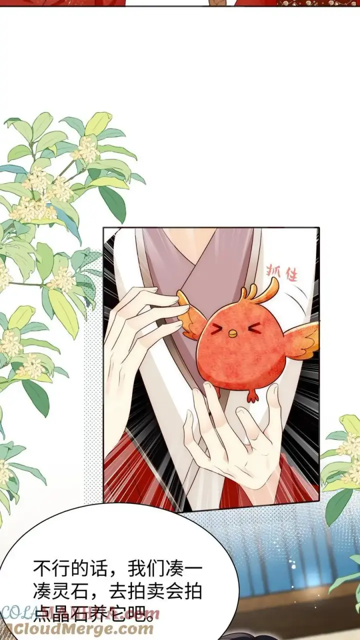 《小师妹明明超强却过分沙雕》第163话 一直长不大的神兽就是个废物啊图27
