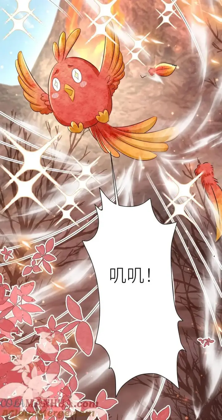 漫画《小师妹明明超强却过分沙雕》第169话 炼丹选我，我超甜！第25张图