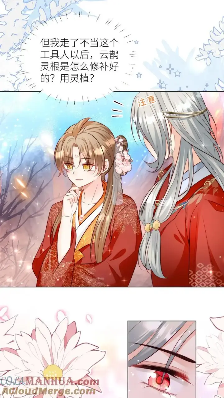 《小师妹明明超强却过分沙雕》第175话 小师妹不说话的时候真好看图19