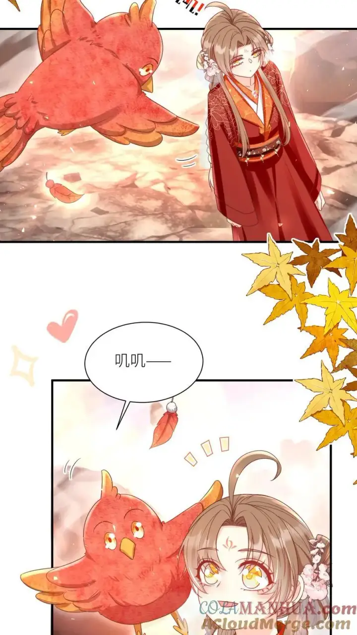 《小师妹明明超强却过分沙雕》第177话 大家一起指凤为鸡图3
