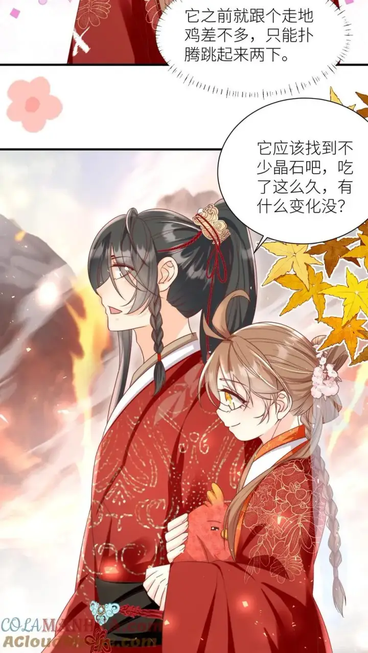 《小师妹明明超强却过分沙雕》第177话 大家一起指凤为鸡图5