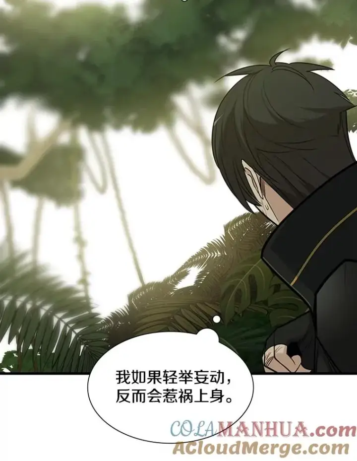 《新手关卡太难了》52.密林（1）图125