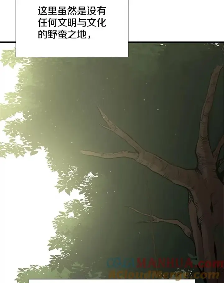 《新手关卡太难了》52.密林（1）图37