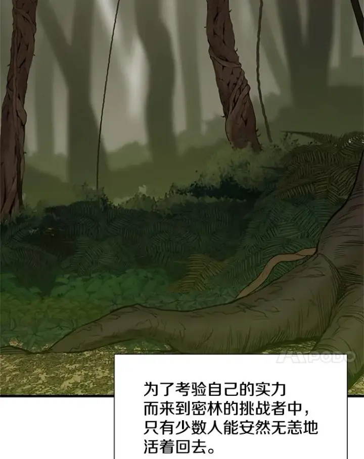 《新手关卡太难了》52.密林（1）图39