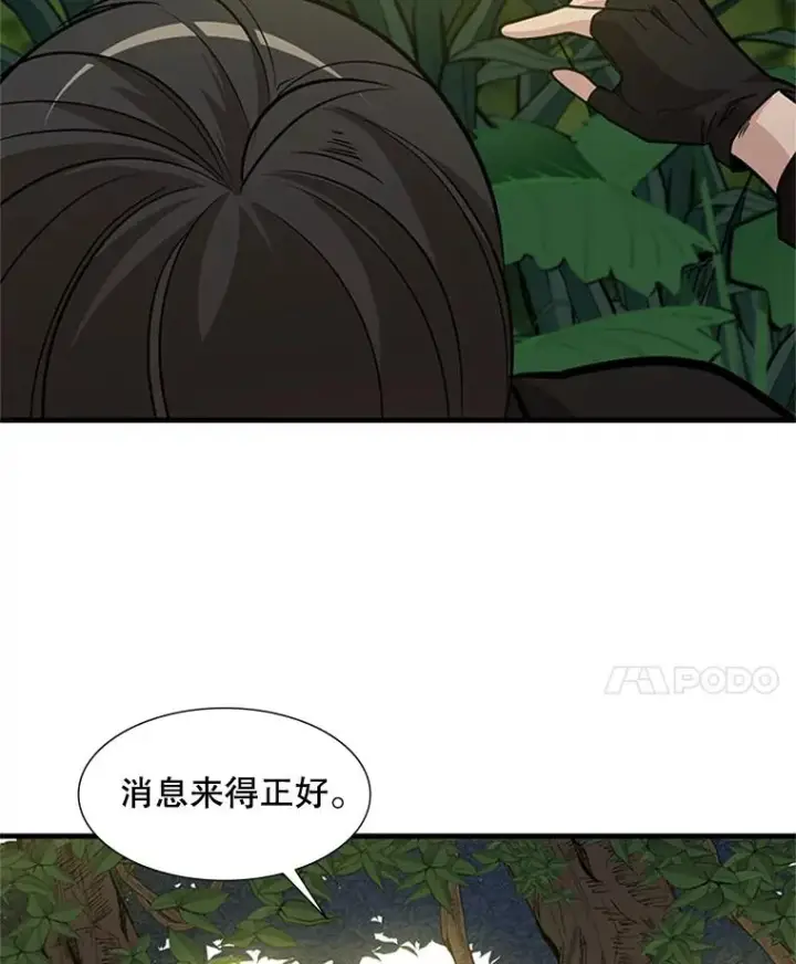 《新手关卡太难了》53.密林（2）图11