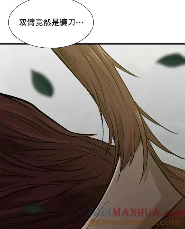 《新手关卡太难了》53.密林（2）图113