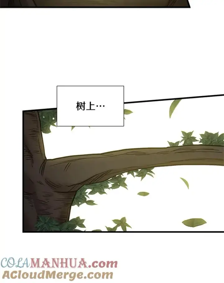 《新手关卡太难了》53.密林（2）图73