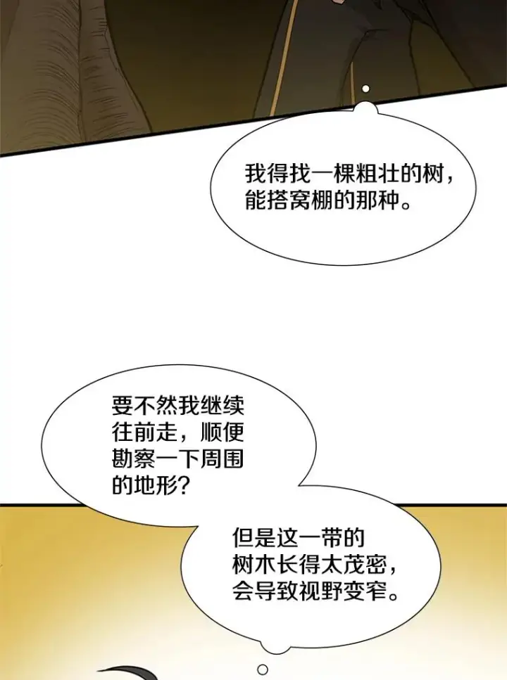 《新手关卡太难了》53.密林（2）图79