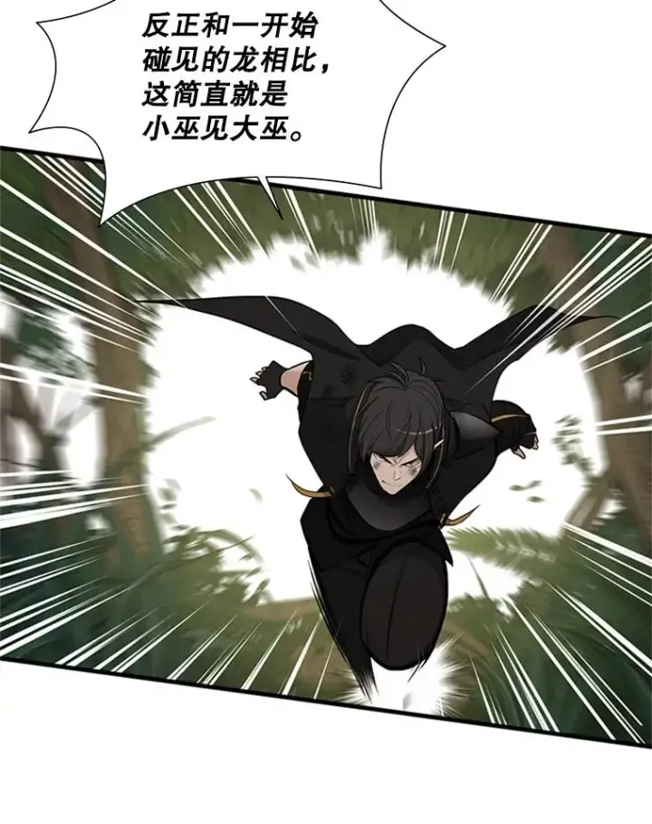 《新手关卡太难了》54.密林（3）图106