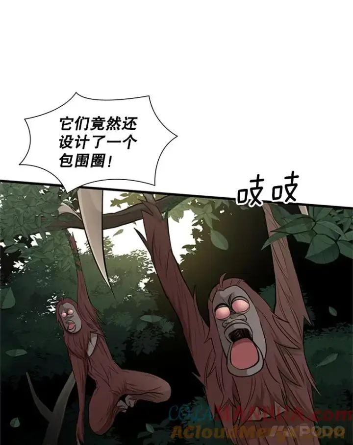 《新手关卡太难了》54.密林（3）图109