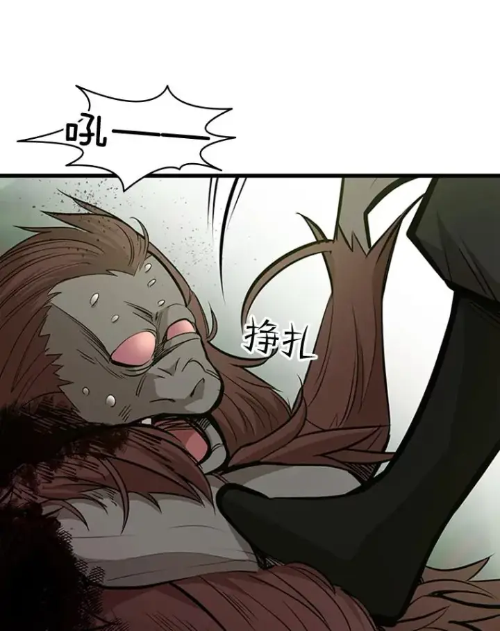 《新手关卡太难了》54.密林（3）图39