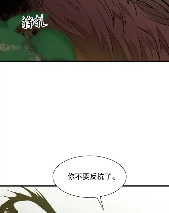 《新手关卡太难了》54.密林（3）图40