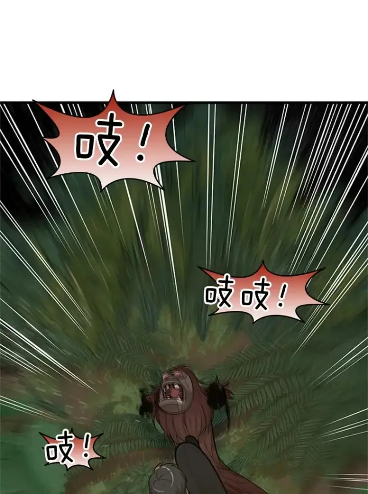 《新手关卡太难了》54.密林（3）图50