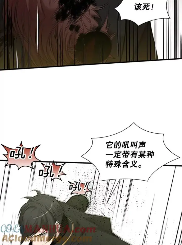 《新手关卡太难了》54.密林（3）图53