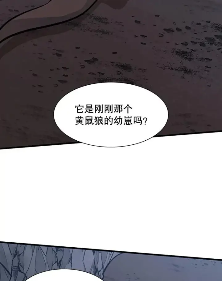 《新手关卡太难了》57.密林（6）图82