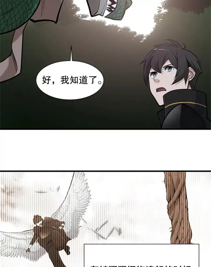 《新手关卡太难了》58.密林（7）图103
