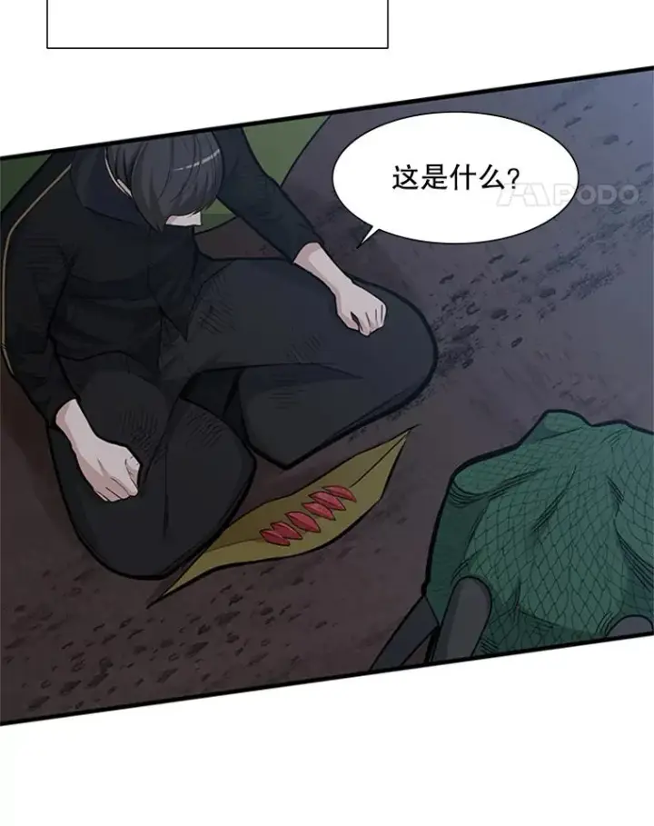 《新手关卡太难了》58.密林（7）图31