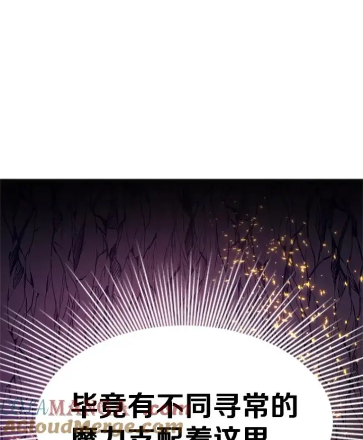 漫画《新手关卡太难了》167.塞雷吉的过去第137张图
