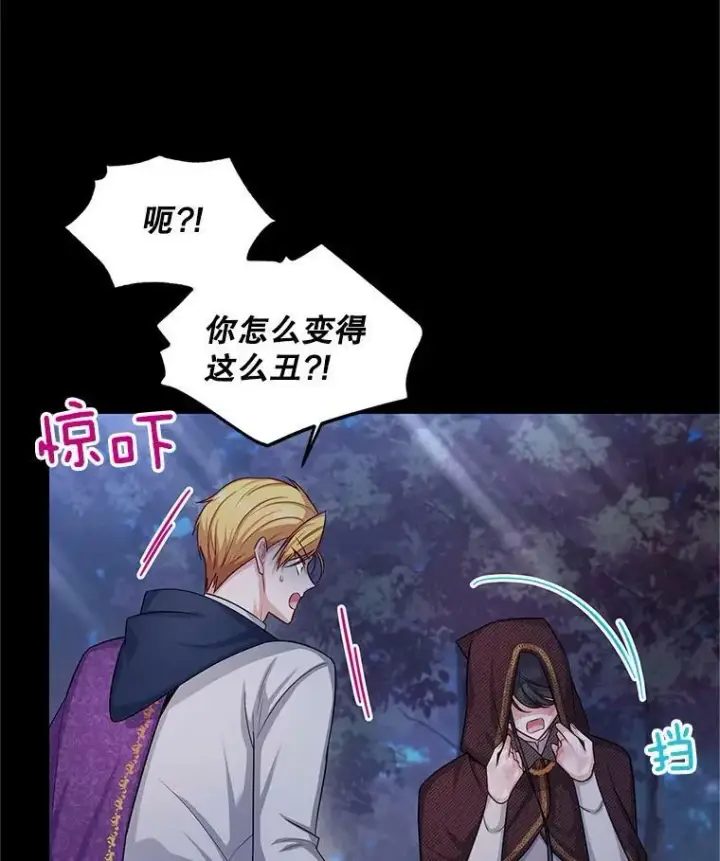 漫画《虚名的公爵之妻》95.前世今生第100张图