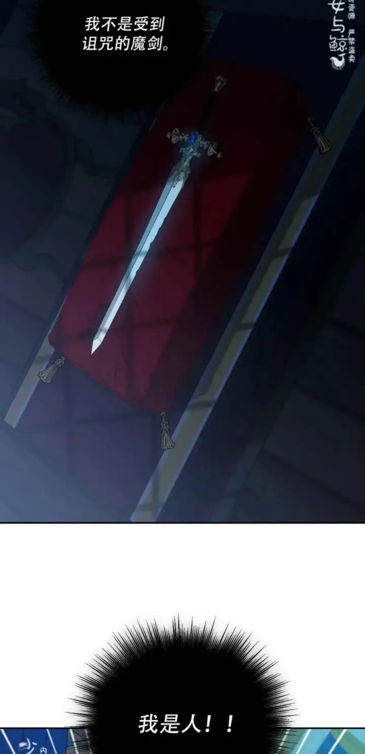 《驯服暴君后逃跑了》1.魔剑重生图29