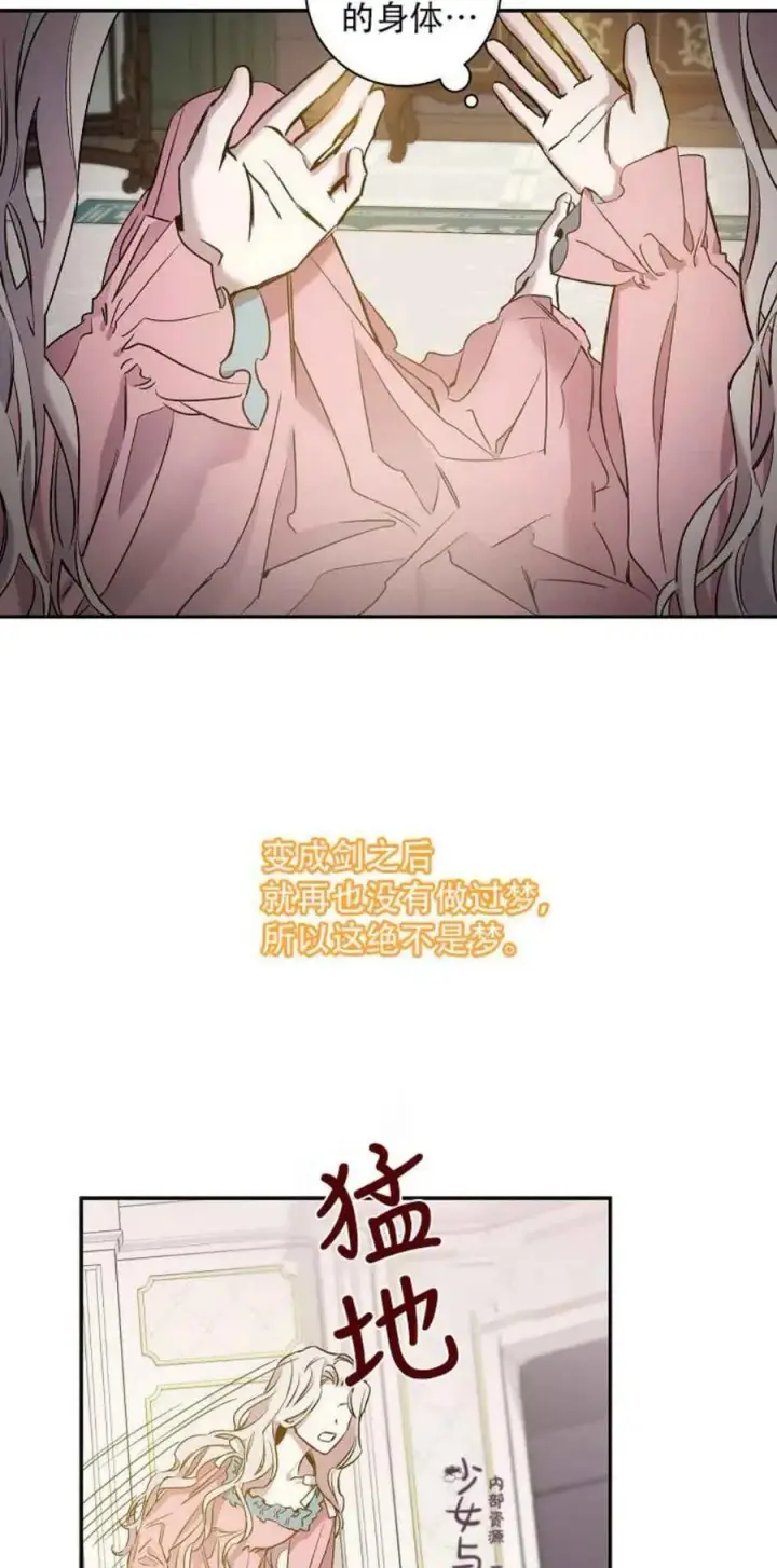 《驯服暴君后逃跑了》1.魔剑重生图36