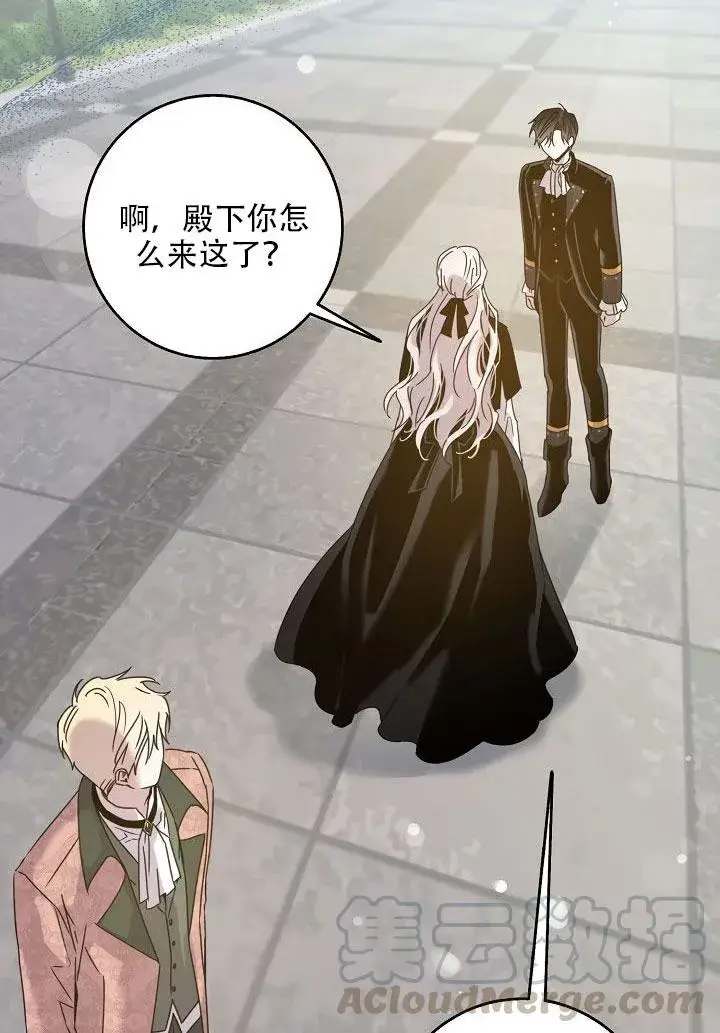 《驯服暴君后逃跑了》24.白纸图66