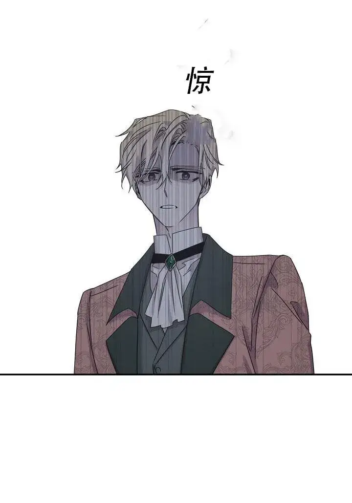 《驯服暴君后逃跑了》24.白纸图73