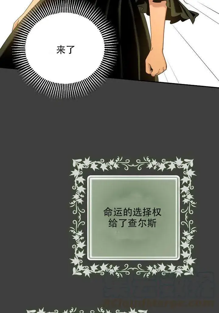 《驯服暴君后逃跑了》24.白纸图81
