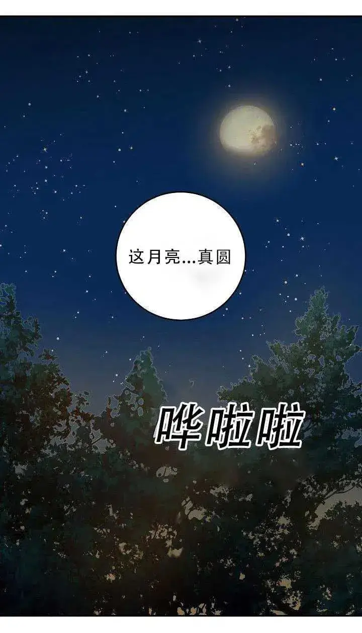 《驯服暴君后逃跑了》31.舞会（2）图68