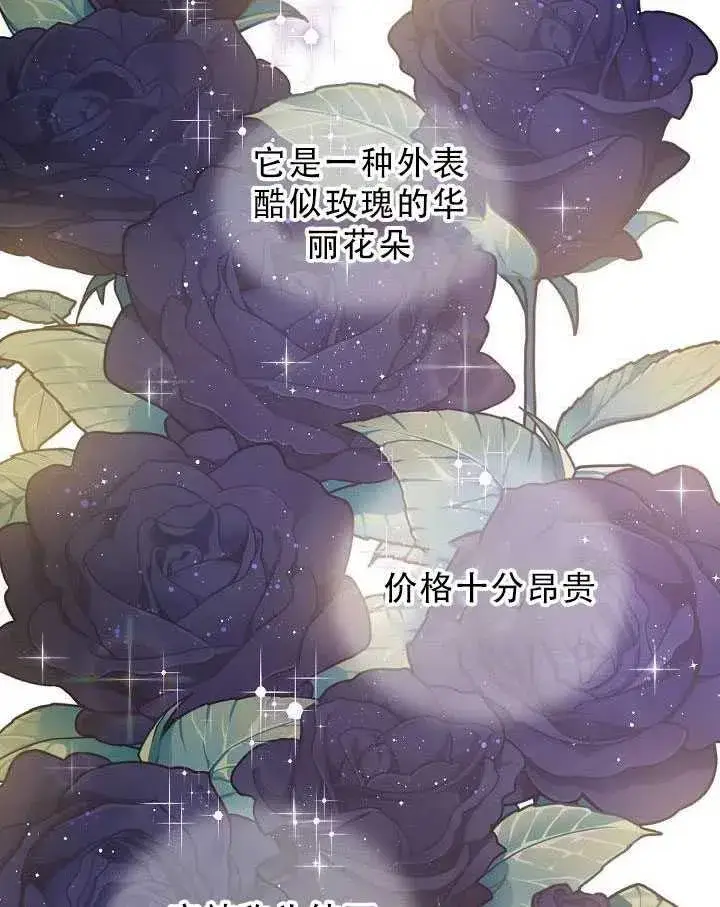《驯服暴君后逃跑了》32.黑玫瑰图2