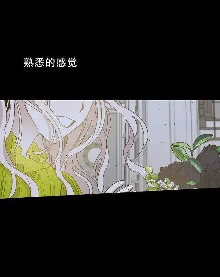 《驯服暴君后逃跑了》32.黑玫瑰图26