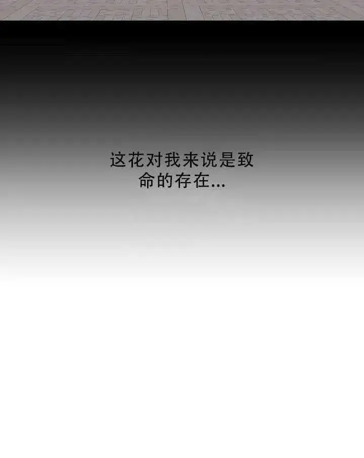 《驯服暴君后逃跑了》32.黑玫瑰图28