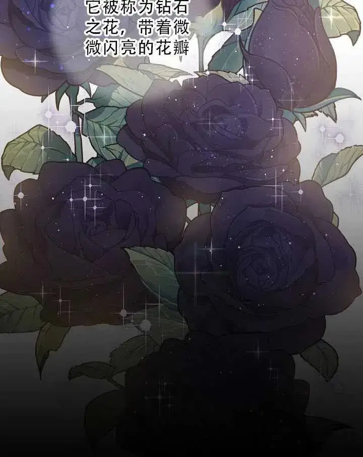 《驯服暴君后逃跑了》32.黑玫瑰图3